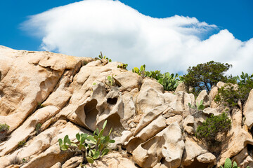 (Selective focus) Stunning view of a rock formations with some prickly pear plants. Sardinia, Italy.