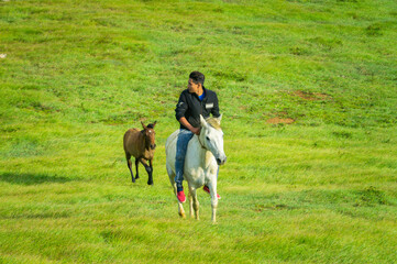 Young man in the field riding horse, A man riding horse in the field and pointing, riding a beautiful horse in the field
