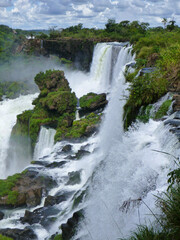 アルゼンチン・ブラジル国境エリアのイグアスの滝にてジャングルの間から流れ落ちる大量の水
