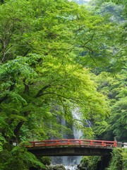 箕面の大滝と朱色の橋