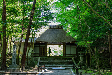法然院の山門と新緑