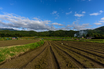 嵯峨野の田園風景