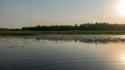 landscape on the lake, water lilies and reeds, reflections in the water