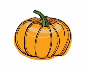Hand drawn color vector round pumpkin.