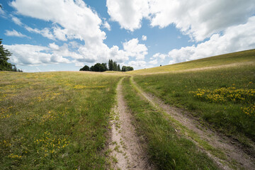 nature landscape in summer in southern germany near bernau in the black forest.