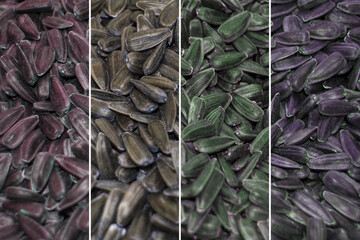 A collage of images of sunflower grains of different shades. vertical location of photos