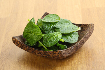 Fresh green spinach leaves in the bowl