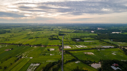 Fototapeta na wymiar Ariel view of rice fields in thailand