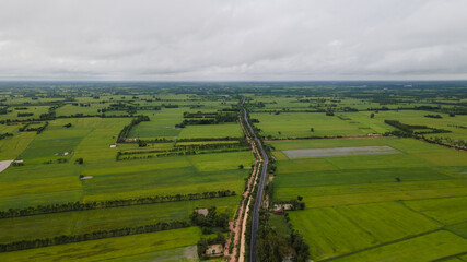 Ariel view  of  rice fields in thailand