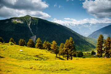 Fototapeta na wymiar Stunning summer view of the alpine meadows at the foot of Mt. Ushba. Location place Upper Svaneti, Georgia, Europe.