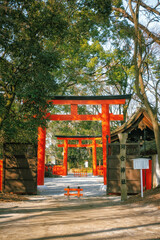 京都、下鴨神社の摂社、河合神社の鳥居と境内風景