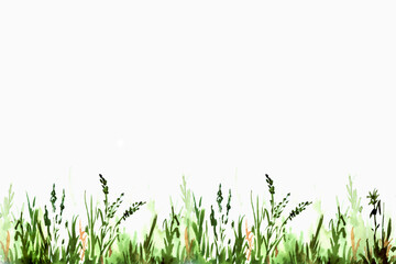 Fototapeta premium Watercolor illustration of green grass.