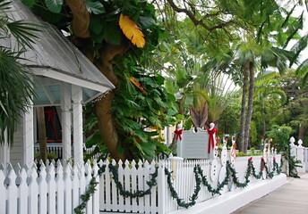 Strassenszene in Key West, Florida Keys - obrazy, fototapety, plakaty