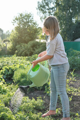 girl waters greens in the garden. little helper. caucasian girl holding a garden watering can and help care for plants, vertical size