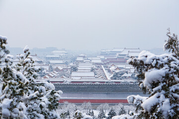 Beautiful Forbidden City in snow - China