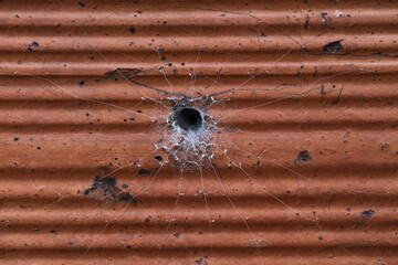 Segestria, l'araignée noire © LechimEuraled