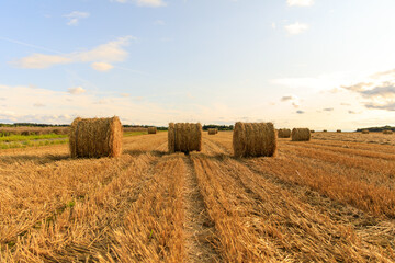 Strohballen ernte 