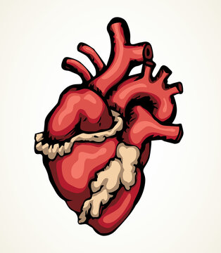 Heart. Vector drawing icon sign