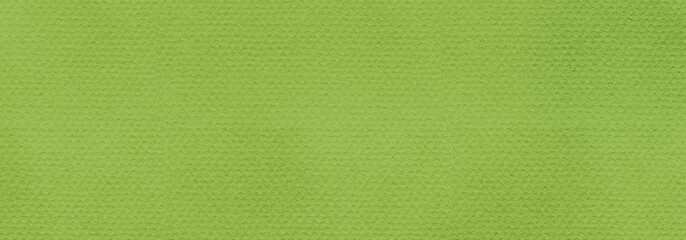 Green Colored Paper Texture Background. Procreate Digital Art	