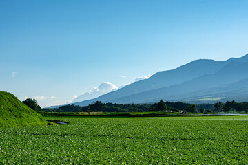 4 962 Highland Plateau Village Wall Murals Canvas Prints Stickers Wallsheaven