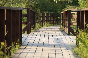 wooden bridge in the park