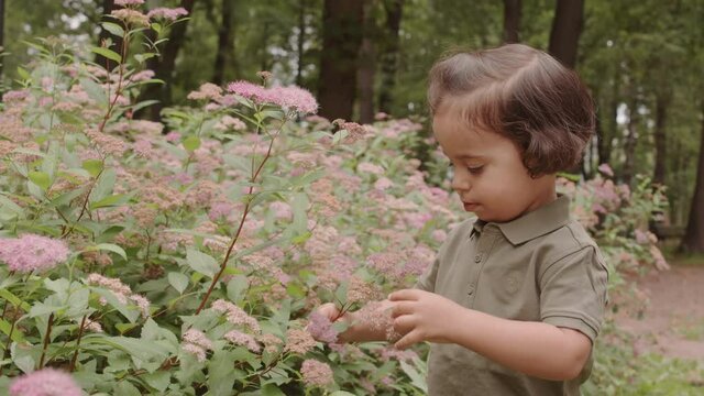 Medium shot of cute toddler boy with curly brown hair smelling and touching summer flowers outdoors in park