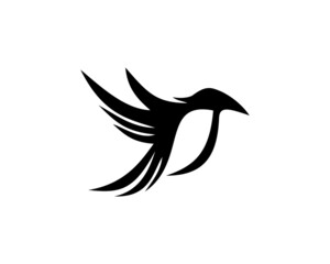 flying bird logo template