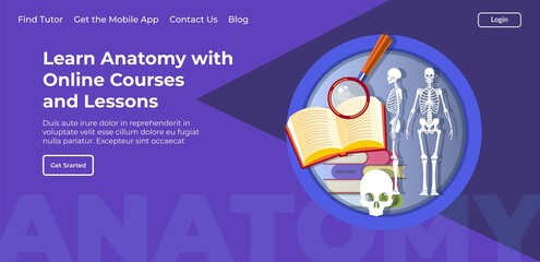 Learn anatomy with online courses and lessons