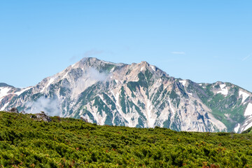 Obraz premium 夏の山
