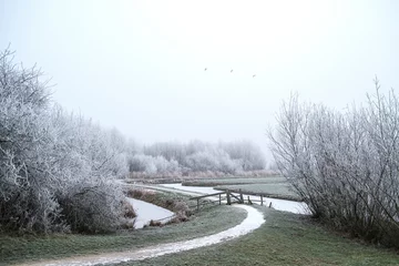 Foto auf Leinwand Frost deposit in nature © Holland-PhotostockNL