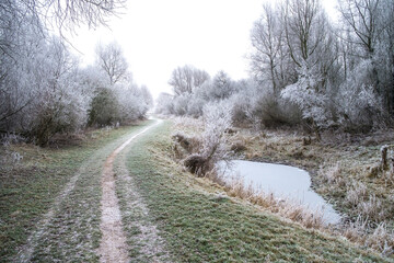 Frost deposit in nature