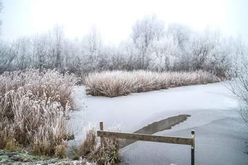 Türaufkleber Frost deposit in nature © Holland-PhotostockNL
