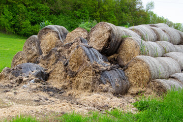 Rolled up hay bales wrapped in a net and piled up to a heap