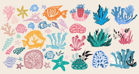 Seaweeds and corals 1