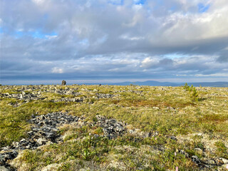 Tundra zone in the Ural Mountains. Russia