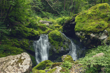 A waterfall in the forest. A mountain stream. Summer.