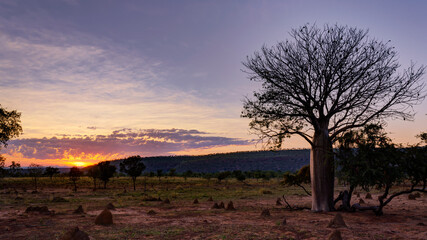Naklejka premium Kimberley Sunrise, Western Australia.