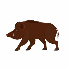 Wild boar. Wild animal boar, vector illustration