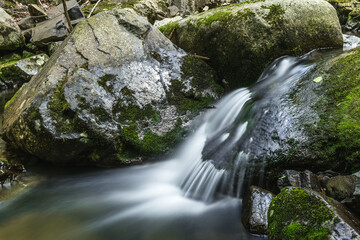 Naklejka na ściany i meble Forest stream, water falls from a stone. Summer.
