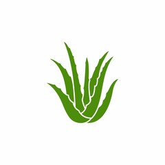Aloe vera plant isolated on a white background vector logo design