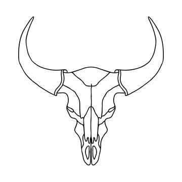Linear drawing of a bull's skull. Vector illustration of a bull. Sketch of a skull tattoo meaning danger. Cattle skull. Bull anatomy, bones.