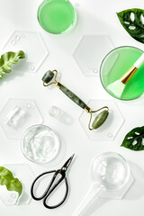 Self made moisturizer, green jade face roller and scissors with pieces of ice. Exotic monstera leaves and water drops. Flat lay, top view on white background. Monochromatic look.