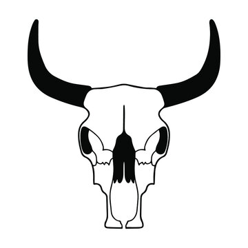 Vector bull skull. Bull illustration. Skull tattoo sketch. Cattle skull. Bull anatomy, bones.