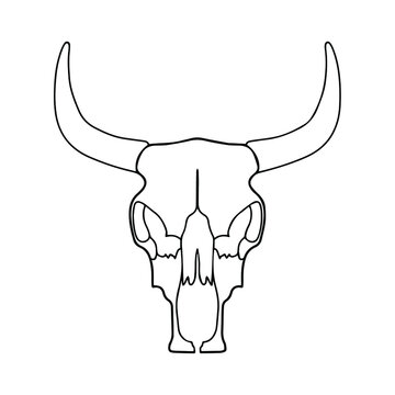 Linear drawing of a bull's skull. Vector illustration of a bull. Skull tattoo sketch, coloring book. Cattle skull. Bull anatomy, bones.
