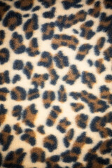 Cloth leopard pattern texture.
