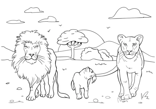 Realistic Lion Coloring Pages. Stock Vector | Adobe Stock