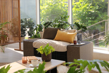 Indoor terrace interior with modern furniture and houseplants