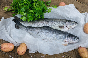 Purified fish on craft parchment paper