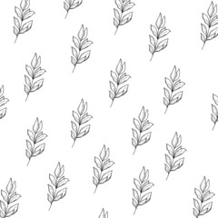 Simple doodle illustrations wallpaper  flowers, Plants, leaves. Black and white square pattern. Minimalistic background with Plants