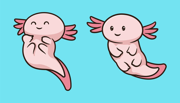 Cute kawaii axolotl character illustration